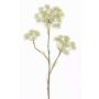 Rama de Heracleum artificial ABDEROS crema, 105cm, Ø12-20cm