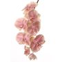 Orquídea Phalaenopsis artificial ANNELI, rosa, 75cm, Ø5-12cm