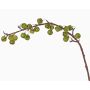 Rama de manzano artificial BORIAN, con frutos, verde, 95cm