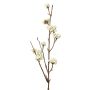 Rama Callicarpa americana artificial LARINA, con bayas, crema, 50cm