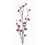 Rama Callicarpa americana artificial LARINA, con bayas, violeta, 70cm