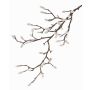 Rama de magnolia artificial KOTORI, blanco, gris, 75cm, Ø0,5-1cm