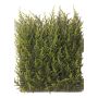 Seto de ciprés falso NEOH verde, 25x25cm