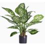 Dieffenbachia artificial DILLA, verde-blanco, 50cm