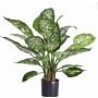Dieffenbachia artificial DILLA, verde-blanco, 50cm