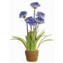 Agapanthus sintético INJALA tierra, azul-lila, 80cm, Ø11cm