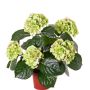 Hortensia sintética TEMARI, verde, 40cm, Ø10-12cm