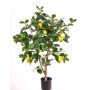 Limonero artificial ZYPRIAN, tronco real, con frutos, verde, 85cm