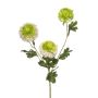 Rama artificial de Scabiosa caucasica ANAYS, blanco-verde, 80 cm