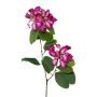 Rama decorativa Bauhinia DRELMO, cereza, 85 cm