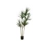 Dracaena Marginata artificial REBEKKAH, troncos artificiales, verde, 170 cm
