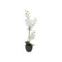Orquídea Phalaenopsis artificial KATALIN, maceta decorativa, blanca, 80cm