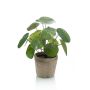 Pilea peperomioides artificial SYBIL en maceta de terracota, verde, 20cm