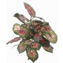 Caladium artificial SEVERIN sobre palo, verde-rojo, 40cm