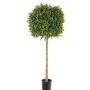 Árbol de boj artificial THORIS, tronco natural, 105cm, Ø40cm