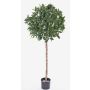 Bola de laurel cerezo artificial ALEXIOS, tallo real, frutos, 145cm, Ø60cm