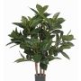 Árbol de caucho artificial KAYDEN, troncos naturales, verde, 80cm