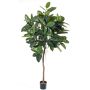 Árbol de caucho artificial AMREI, tronco natural, verde, 150cm