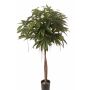 Pachira artificial CASSY, troncos naturales, 150cm