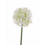 Ajo artificial ornamental REINGARD, blanco, 30cm, Ø15cm