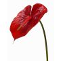 Anthurium de imitación MOIRA, rojo, 75cm, 13x18cm