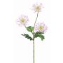 Crisantemo sintético SOLVIE, blanco-rosa, 75cm, Ø11-12cm