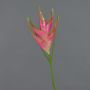 Flor heliconia artificial TOMKE, rosa-verde, 80cm, Ø30cm