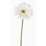 Gerbera textil HELLI, crema, 65cm, Ø12cm