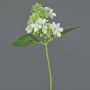 Hortensia sintética CHABY, blanco-verde, 30cm, Ø9cm