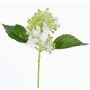 Hortensia sintética CHABY, blanco-verde, 30cm, Ø9cm