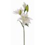 Lirio flor artificial ISALIE, blanco-verde, 80cm, Ø13-16cm