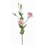 Lisianthus artificial JUDIKA rosa, rosa-blanco-verde, 70cm, Ø6-7cm