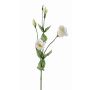 Lisianthus artificial JUDIKA blanco-verde, 70cm, Ø5cm