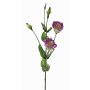 Lisianthus artificial JUDIKA violeta-verde, violeta-blanco-verde, 70cm, Ø6-7cm