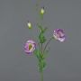 Lisianthus artificial JUDIKA violeta-verde, 70cm, Ø5cm