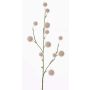 Ajo ornamental sintético EMRAH, crema, 80cm, Ø3-4,5cm