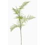 Rama de esparraguera plumoso artificial HAYDON, verde, 85cm