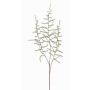 Rama de esparraguera acutifolius artificial JOCHEN, verde, 70cm