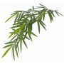 Rama de bambú artificial LENNI, zona protegida, 80cm