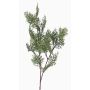 Rama artificial de ciprés FROWIN, verde, 80cm
