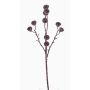 Rama de eucalipto artificial BASILIUS con frutas, marrón, 60cm