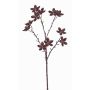 Rama de anís estrella de plástico DELANO con frutas, marrón, 60cm