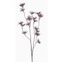 Flor de zanahoria silvestre artificial DORIAN, marrón, 65cm, Ø4cm
