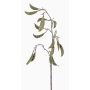 Rama de vainas de guisantes artificial KLAUS, verde, 90cm