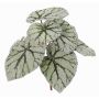 Hojas de begonia rex artificial KATRICE en palo, verde-gris, 25cm