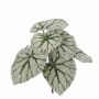 Hojas de begonia rex artificial KATRICE en palo, verde-gris, 25cm
