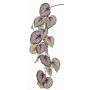 Rama de begonia de hoja artificial KATRICE, violeta-verde, 110cm