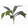 Palma Aspidistra artificial VASCO en vara de fijación, 55cm