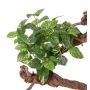 Pothos artificial NAEL, con palo, difícilmente inflamable, verde-blanco, 50cm