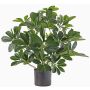 Schefflera sintética LUKAS en maceta decorativa, verde, 55cm